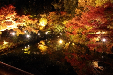 大人の休日に最適徳川園のお食事スポット 紅葉の中でランチを楽しむ